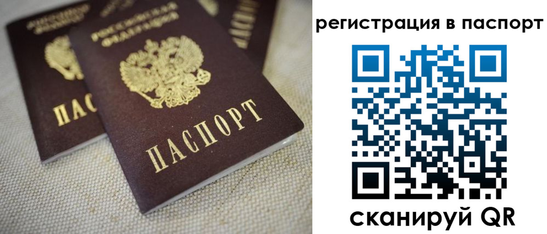 прописка гарантия в Баймаке